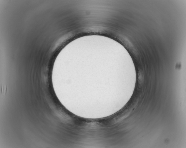 X0000090770396200708172112