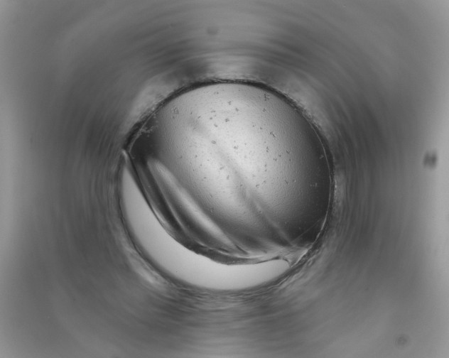 X0000090770397200708172112