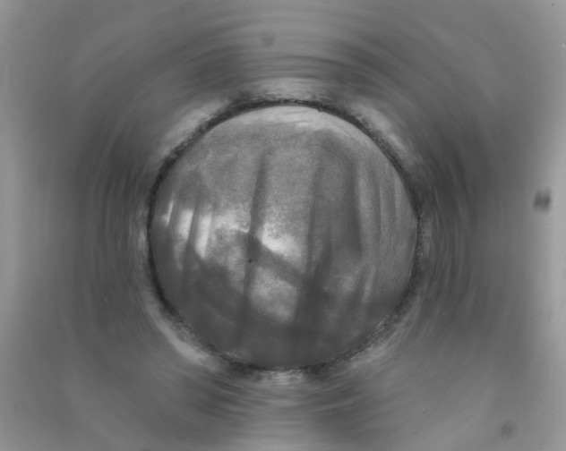 X0000090770398200708172112