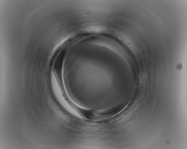 X0000090770399200708172112