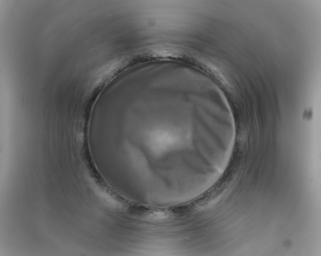 X0000090770402200708172112