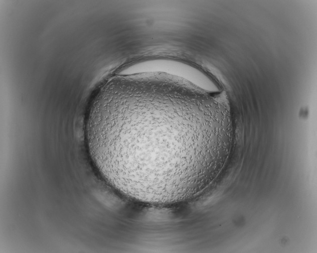 X0000090770403200708172112