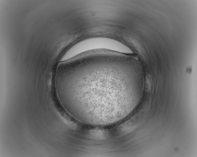X0000090770404200708172112