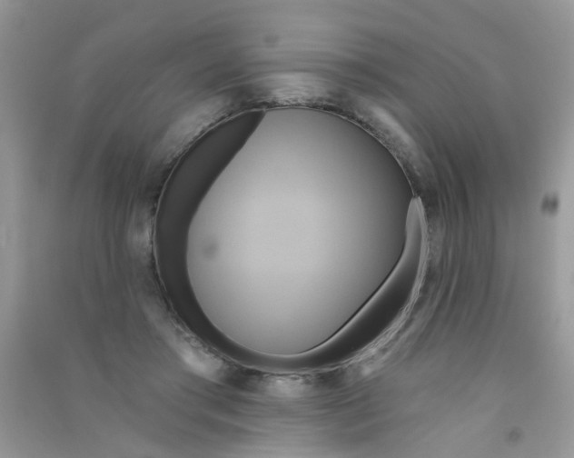 X0000090770405200708172112