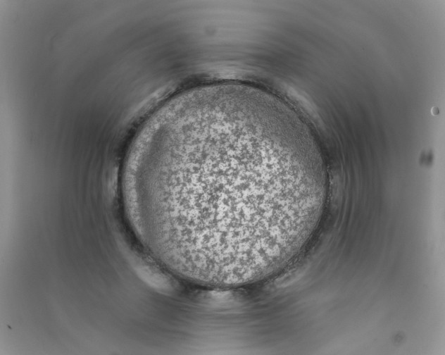 X0000090770406200708172112