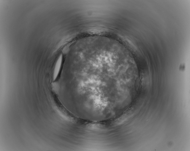 X0000090770408200708172112