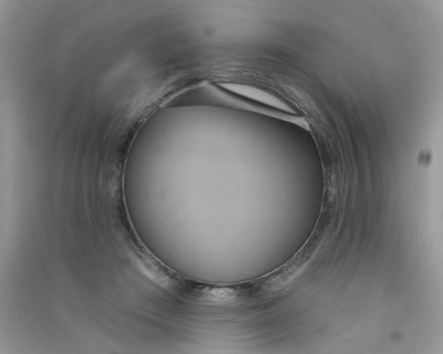 X0000090770409200708172112