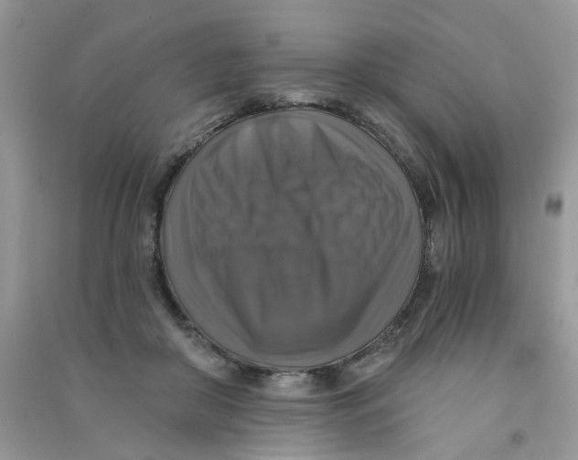 X0000090770410200708172112