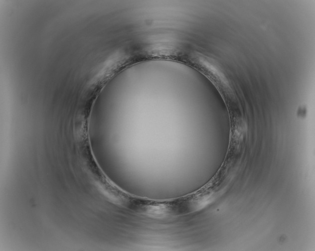 X0000090770411200708172112