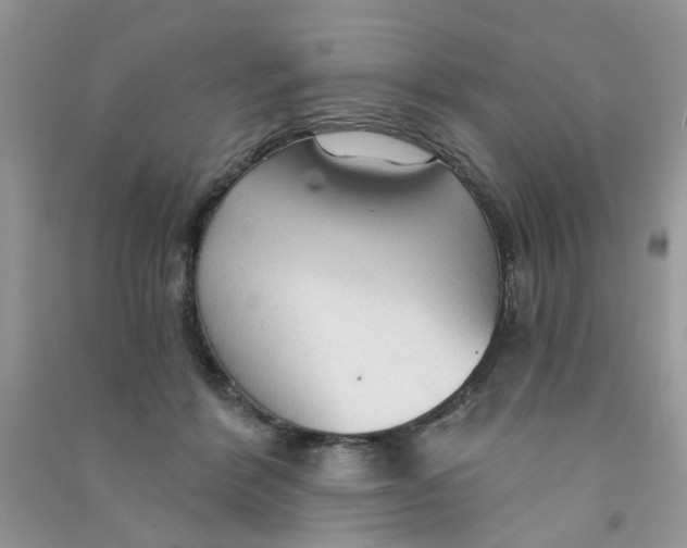 X0000090770412200708172112