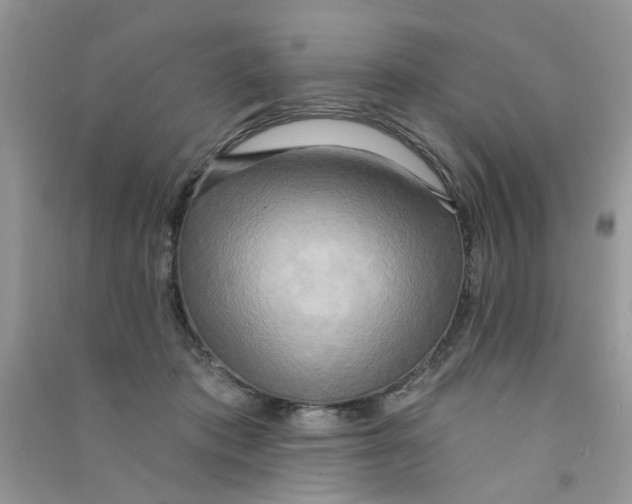 X0000090770413200708172112