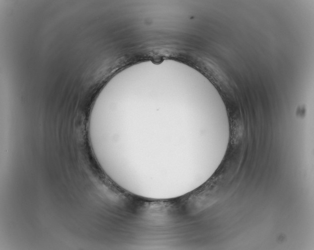 X0000090770414200708172112