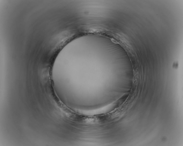 X0000090770415200708172112
