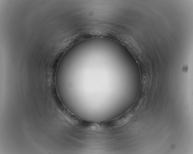 X0000090770416200708172112