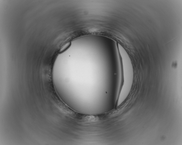 X0000090770421200708172112