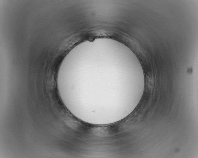 X0000090770422200708172112