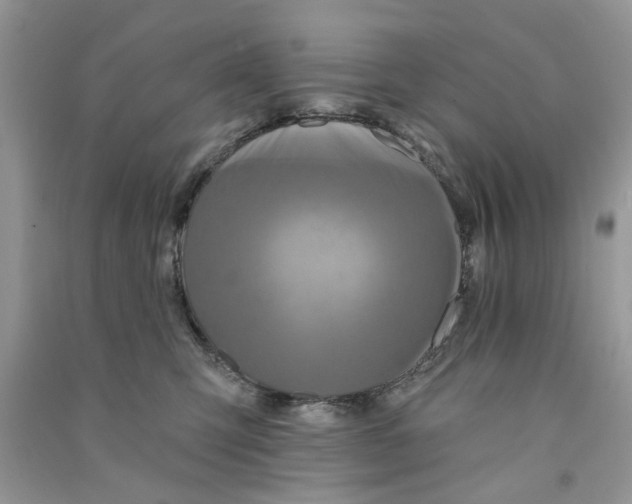 X0000090770423200708172112
