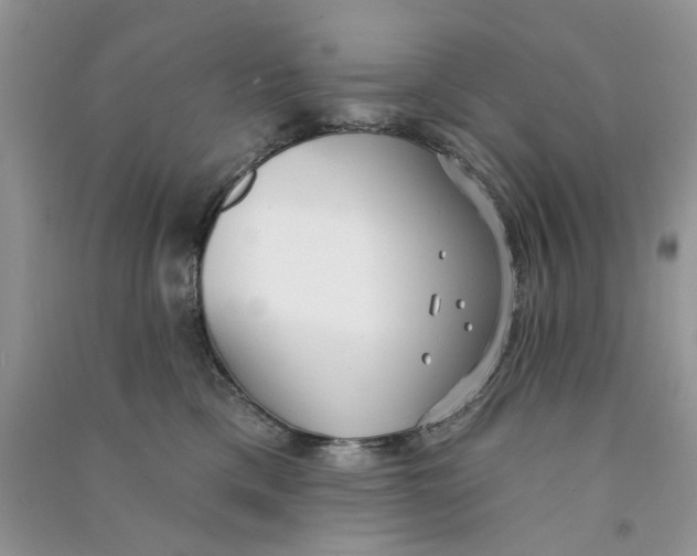 X0000090770425200708172112