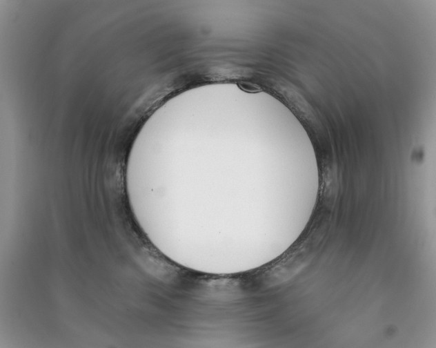 X0000090770426200708172112