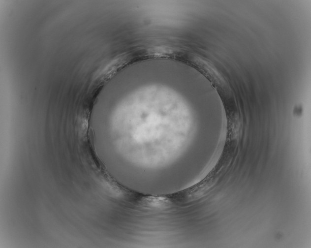 X0000090770427200708172112
