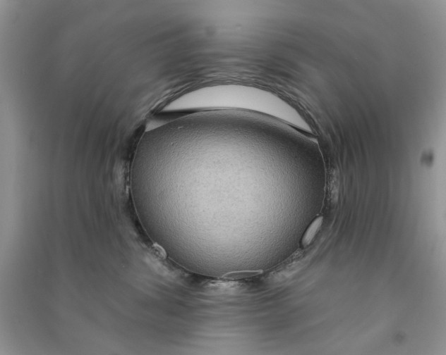 X0000090770428200708172112