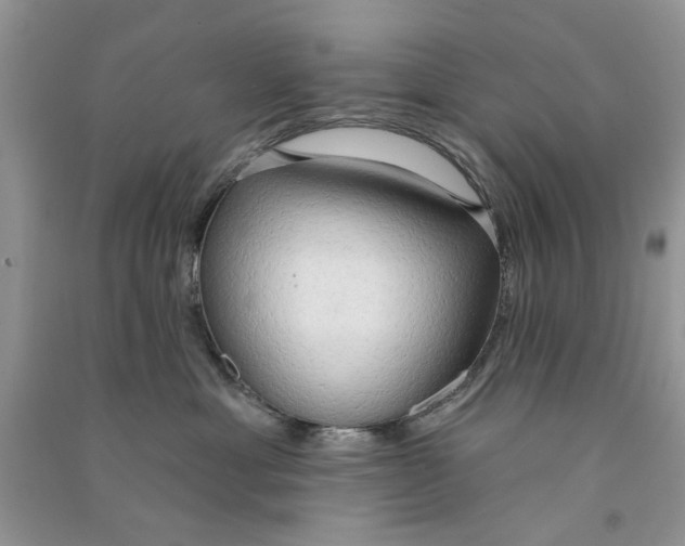 X0000090770429200708172112