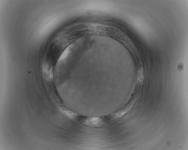 X0000090770431200708172112