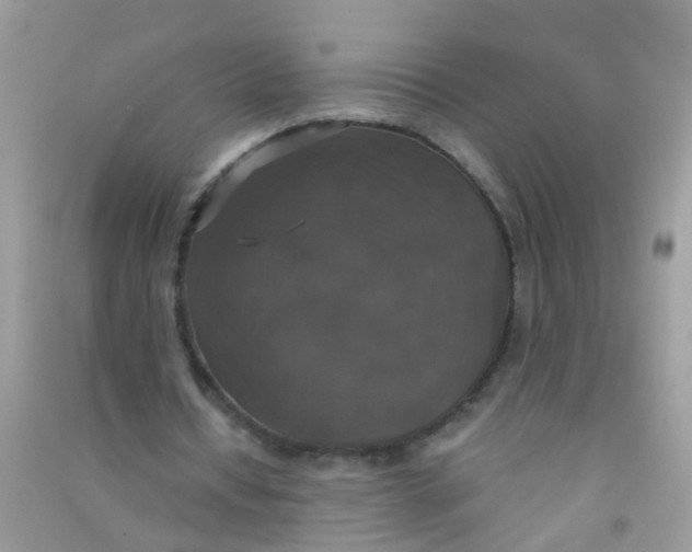 X0000090770434200708172111