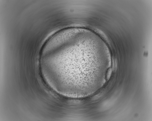 X0000090770435200708172111