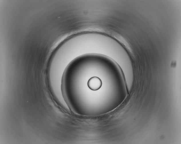 X0000090770436200708172111