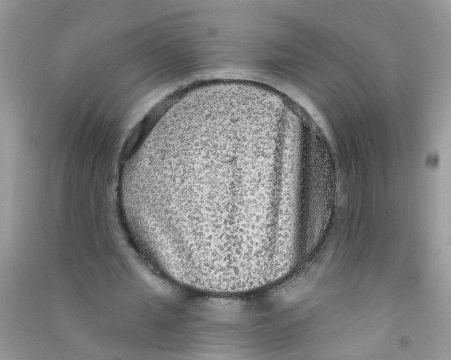 X0000090770437200708172111