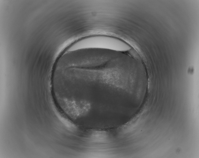 X0000090770438200708172111