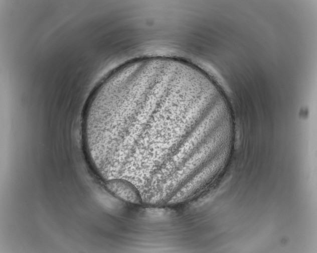 X0000090770439200708172111