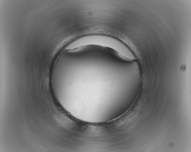 X0000090770442200708172111