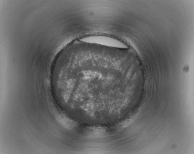 X0000090770443200708172111