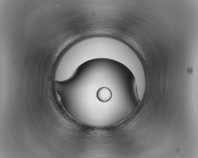 X0000090770444200708172111