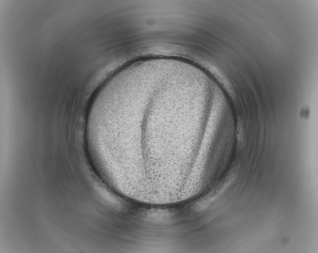 X0000090770445200708172111