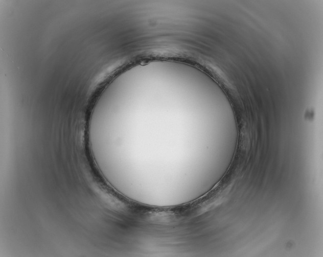 X0000090770446200708172111