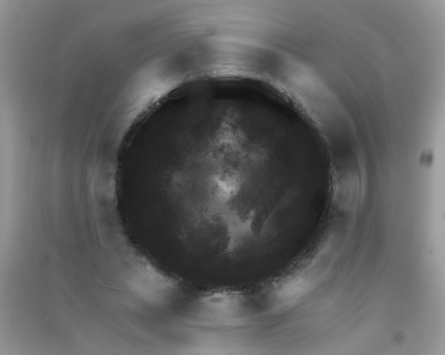 X0000090770447200708172111