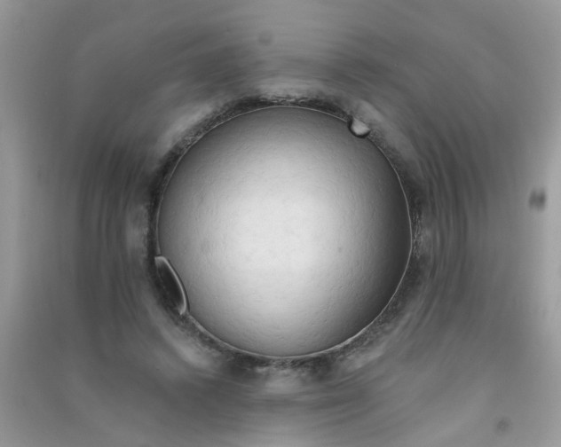 X0000090770448200708172111