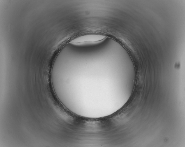 X0000090770450200708172111