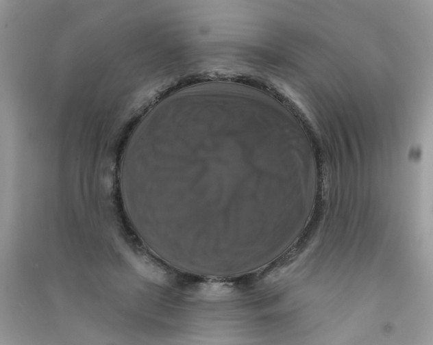 X0000090770451200708172111