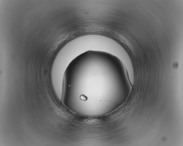 X0000090770452200708172111