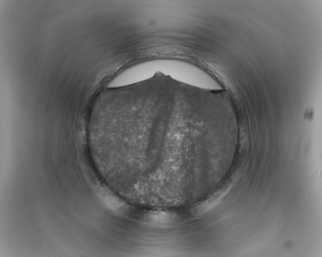 X0000090770453200708172111