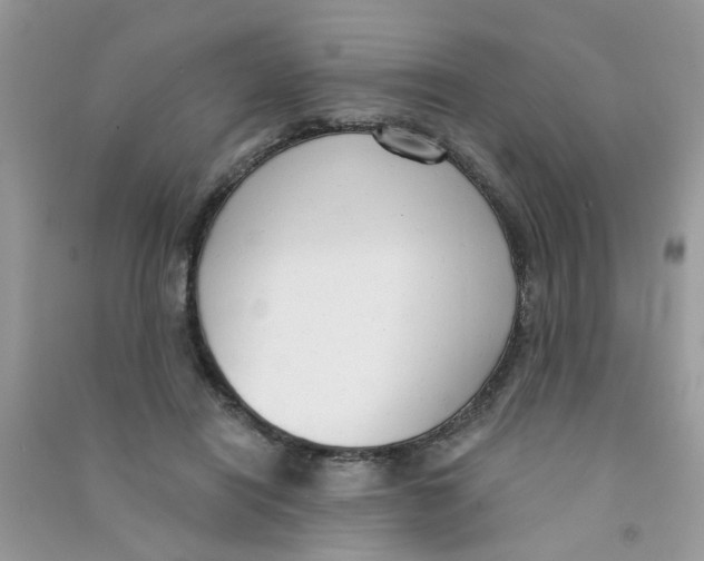 X0000090770454200708172111