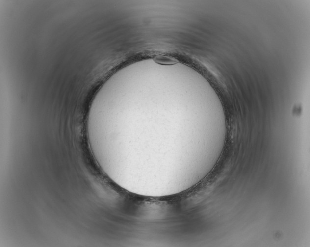 X0000090770455200708172111
