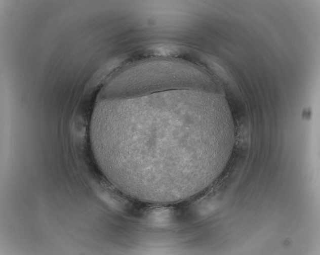 X0000090770456200708172111