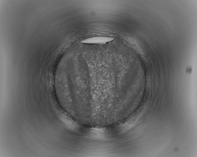 X0000090770457200708172111