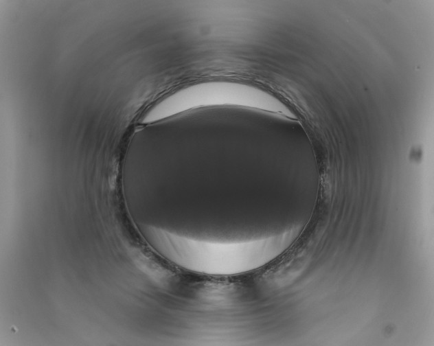 X0000090770458200708172111
