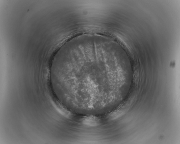 X0000090770459200708172111